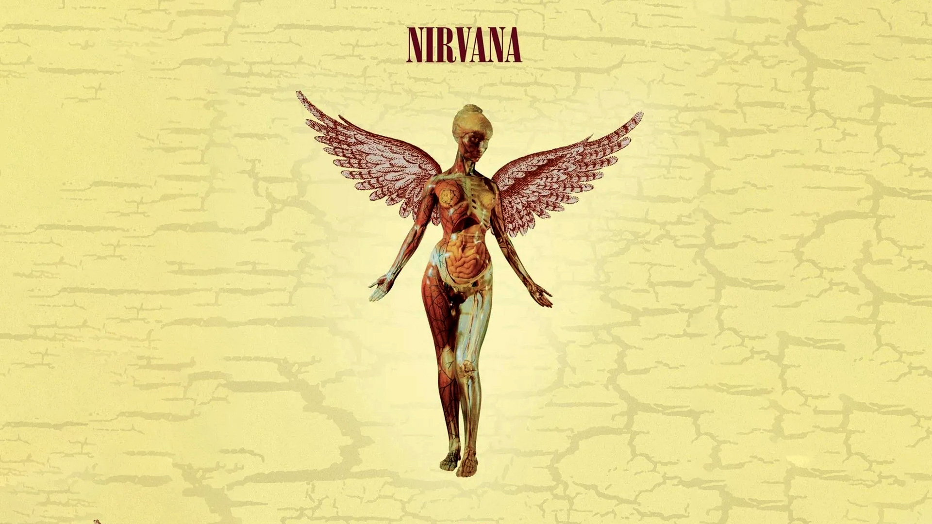 Se revela que Nirvana sí copió una canción a Los Brujos. La Banda Elástica